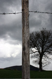 Nazzareno Guglielmi - Sei ore per la mia testa, videoproiezione, 2011