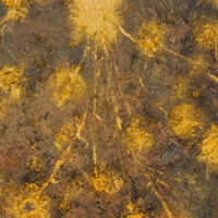 Miquel Barcel - Trois tournesols, 1998 - Tecnica mista su tela, 148 x 251 cm