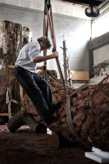 Giuseppe Penone realizza Albero di cuoio 1, 2007