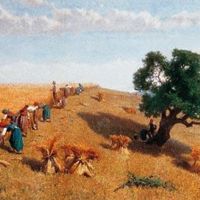Stefano Bruzzi - Mietitura a le Perteghette