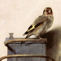 Carel Fabritius - Il cardellino, 1654 - Olio su tavola, cm 33,5 x 22,8 - L'Aia, Royal Picture Gallery Mauritshuis