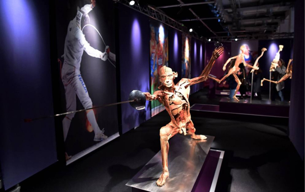 Real Bodies, scopri il corpo umano. Allo Spazio Ventura - Milano
