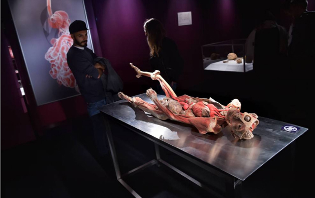 Real Bodies, scopri il corpo umano. Allo Spazio Ventura - Milano