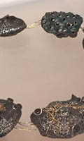 Collana Reef del Maha, 2001 Mostra Barbara Paganin a San Rocco, Padova -  Photo Roberto Zanon