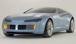 Bertone Birusa